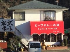 フリッパー