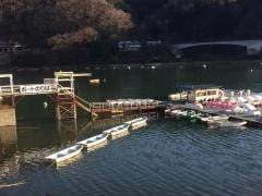 フリッパー
