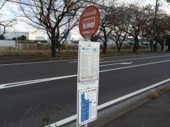 「清久さくら通り」バス停留所