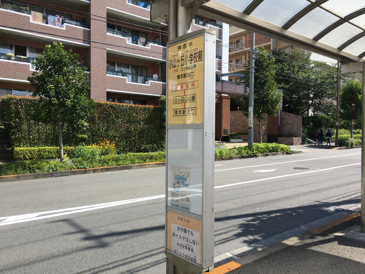 小山ｹ丘小学校前