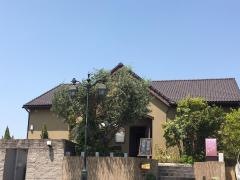 Ｒｉｓｔｏｒａｎｔｅ　Ｐ.ｅＣ.