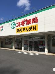 スギドラッグ　大石店