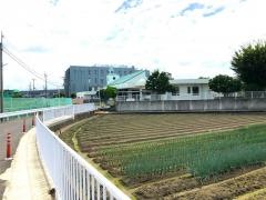 のぞみこども園北保育所