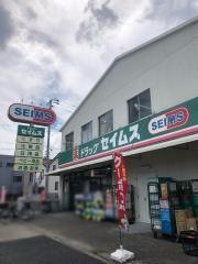 ドラッグセイムス　谷在家店
