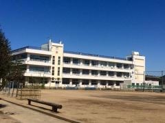 亀田小学校
