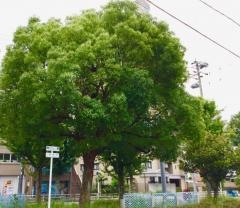 高針街園