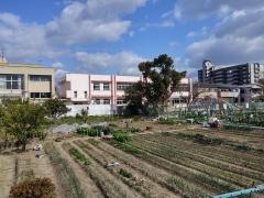 大芝幼稚園