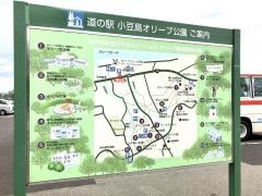 オリーブビーチ