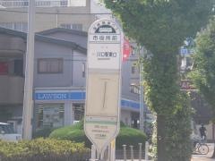 「市役所前(川口市)」バス停留所