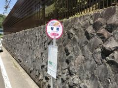 「桜橋」バス停留所