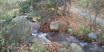 四季茶房　八夢