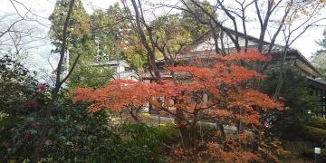 四季茶房　八夢