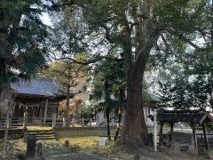 楠木神社