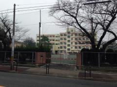 陽明小学校