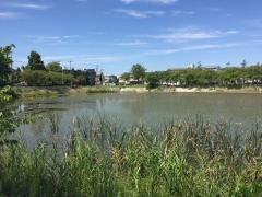 螺貝公園