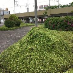 深田街園