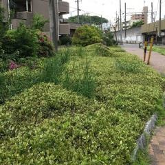 深田街園