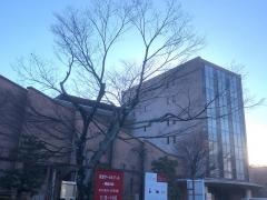 立命館大学　衣笠キャンパス