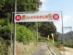 上の太子観光みかん園