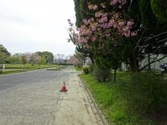 柏木公園