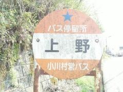「上野」バス停留所