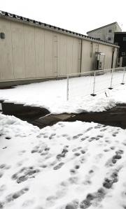 セブンイレブン　八戸田向店