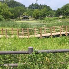 折立公園