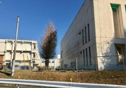 駒羽根小学校