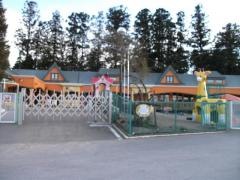 野ばら幼稚園