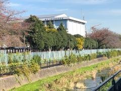 東京都立久留米西高等学校
