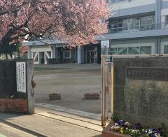 芝久保小学校