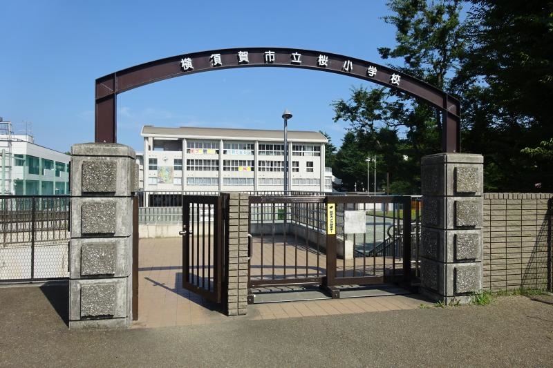 桜小学校