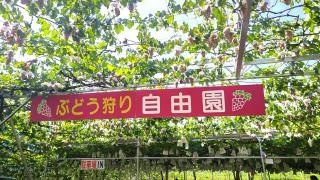 自由園
