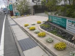 和田歯科医院新市