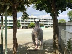 富岡小学校