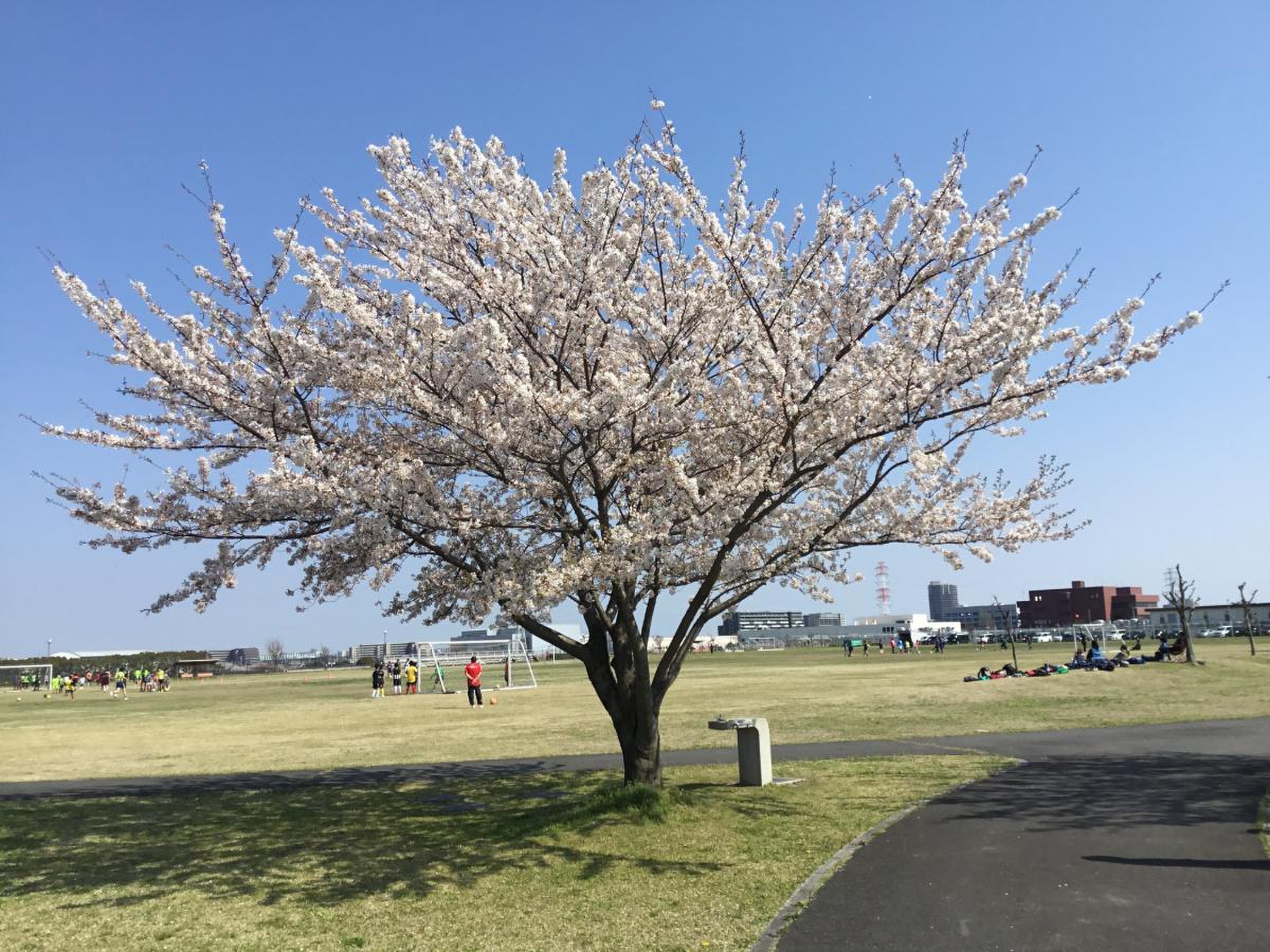 三郷 スカイ パーク