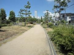 りんくう羽倉崎南2号緑地