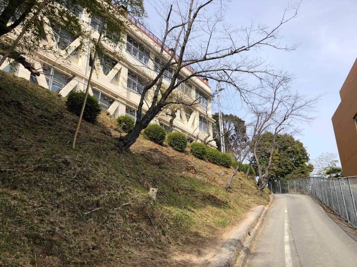 井口小学校の外観です！