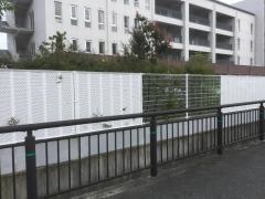 私立佐賀清和中学校