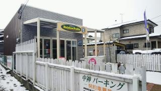 レインボー・パフィン