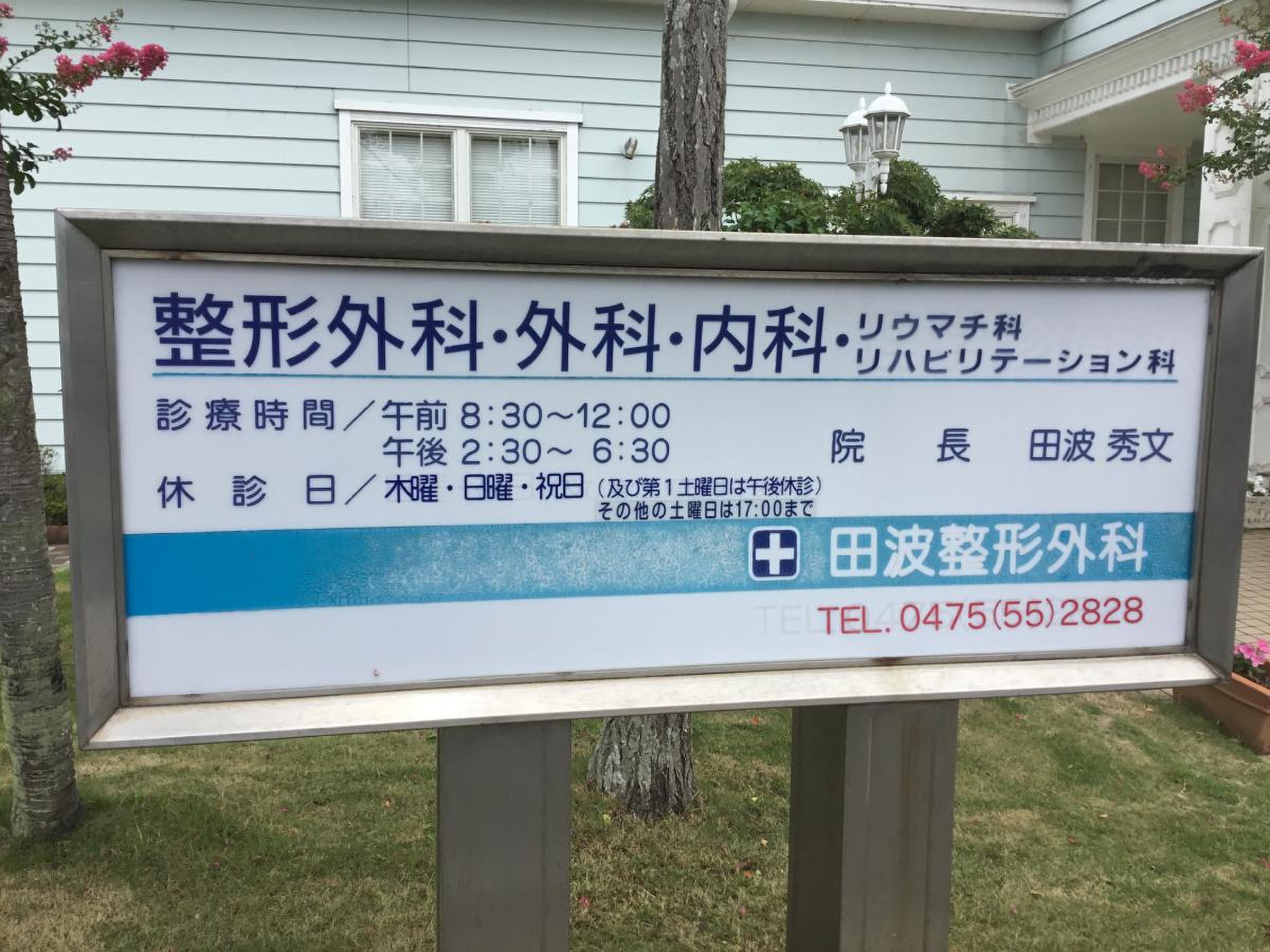 田波 整形 外科