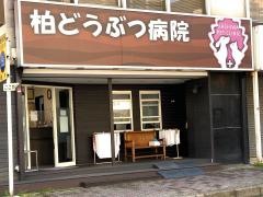 柏どうぶつ病院