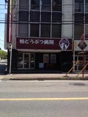 柏どうぶつ病院