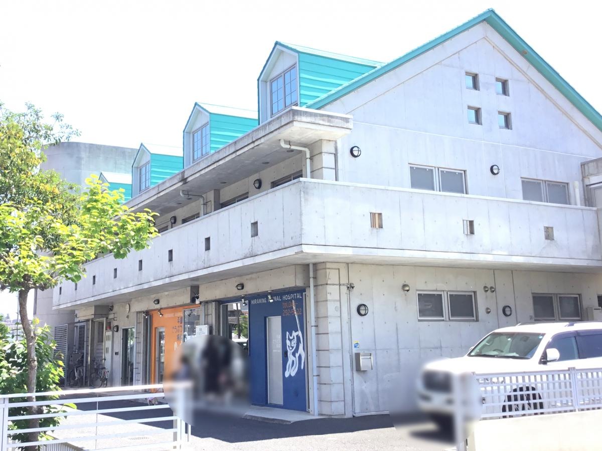 平峰どうぶつ病院