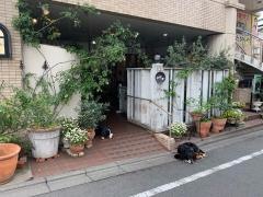 ウン・ベシート