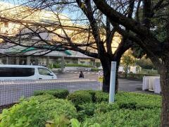 しらゆり園