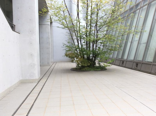 施設写真15