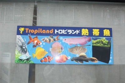 マーケットピア トロピランド荒川店 荒川区町屋