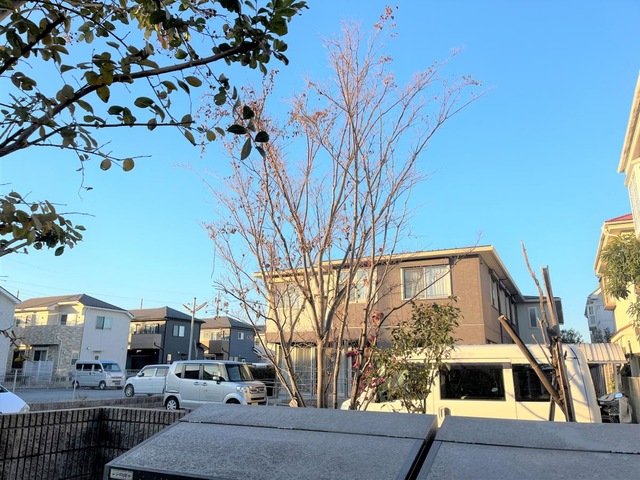 アンジューム所沢