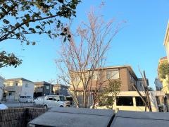 アンジューム所沢